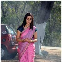 Nisha Agarwal Latest Pictures | Picture 532251