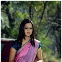 Nisha Agarwal Latest Pictures | Picture 532252