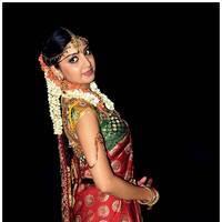 Poonam Kaur Cute Saree Photos | Picture 532378