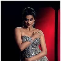 Priyamani Hot Images from Chandi Movie | Picture 535405