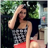 Actress Priyanka Hot Images at Jai Ho Movie Launch | Picture 538459