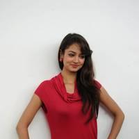 Shanvi Hot Images at Adda Movie Success Meet | Picture 542389