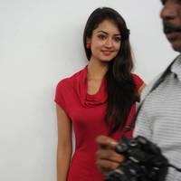Shanvi Hot Images at Adda Movie Success Meet | Picture 542394