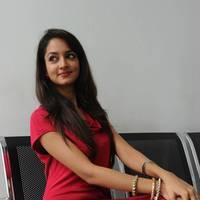 Shanvi Hot Images at Adda Movie Success Meet | Picture 542406