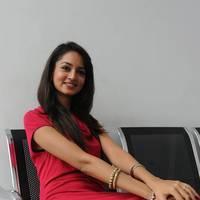 Shanvi Hot Images at Adda Movie Success Meet | Picture 542439