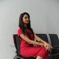 Shanvi Hot Images at Adda Movie Success Meet | Picture 542442