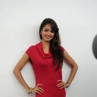 Shanvi Hot Images at Adda Movie Success Meet | Picture 542444