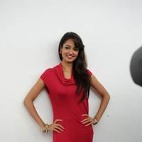 Shanvi Hot Images at Adda Movie Success Meet | Picture 542446