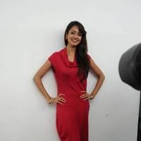 Shanvi Hot Images at Adda Movie Success Meet | Picture 542453