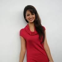 Shanvi Hot Images at Adda Movie Success Meet | Picture 542459