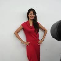 Shanvi Hot Images at Adda Movie Success Meet | Picture 542475