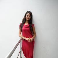 Shanvi Hot Images at Adda Movie Success Meet | Picture 542493