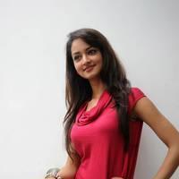 Shanvi Hot Images at Adda Movie Success Meet | Picture 542494