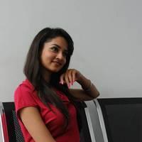 Shanvi Hot Images at Adda Movie Success Meet | Picture 542498