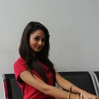 Shanvi Hot Images at Adda Movie Success Meet | Picture 542509