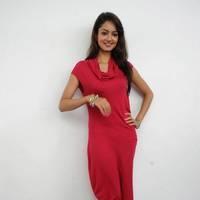 Shanvi Hot Images at Adda Movie Success Meet | Picture 542515