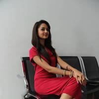 Shanvi Hot Images at Adda Movie Success Meet | Picture 542518