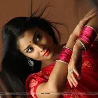 Shriya Hot Saree Images | Picture 542771