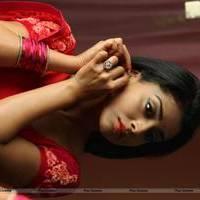 Shriya Hot Saree Images | Picture 542848