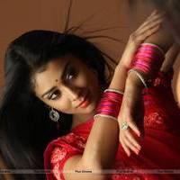 Shriya Hot Saree Images | Picture 542863