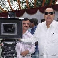 D. Ramanaidu - Lovers Movie Opening Pictures | Picture 544241