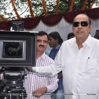 D. Ramanaidu - Lovers Movie Opening Pictures | Picture 544256
