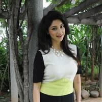 Tanvi Vyas New Hot Images | Picture 546258