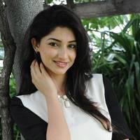 Tanvi Vyas New Hot Images | Picture 546339