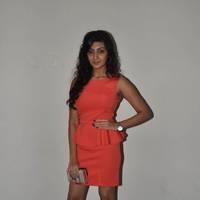 Neelam Upadhyay Hot Images at Tollywood Cinema Channel Opening | Picture 549005
