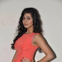 Neelam Upadhyay Hot Images at Tollywood Cinema Channel Opening | Picture 549006