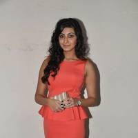 Neelam Upadhyay Hot Images at Tollywood Cinema Channel Opening | Picture 549011