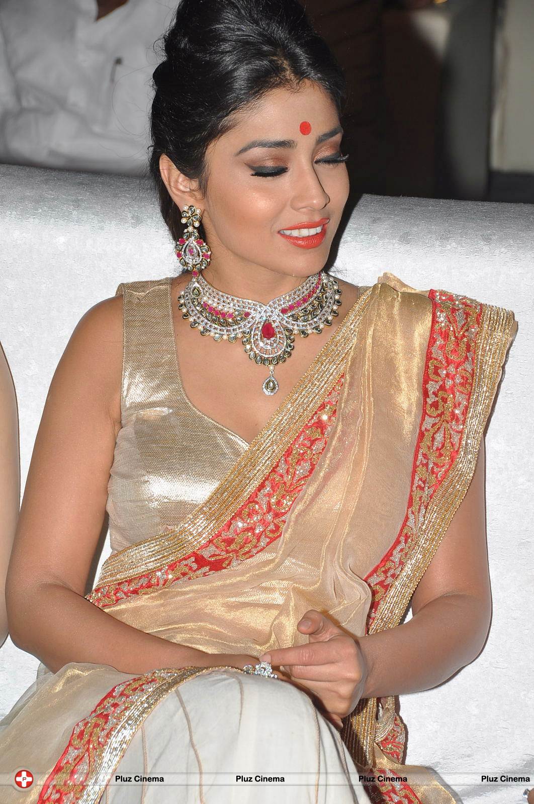Shriya Hot Saree Photos at Tollywood Cinema Channel Opening | Picture 549026
