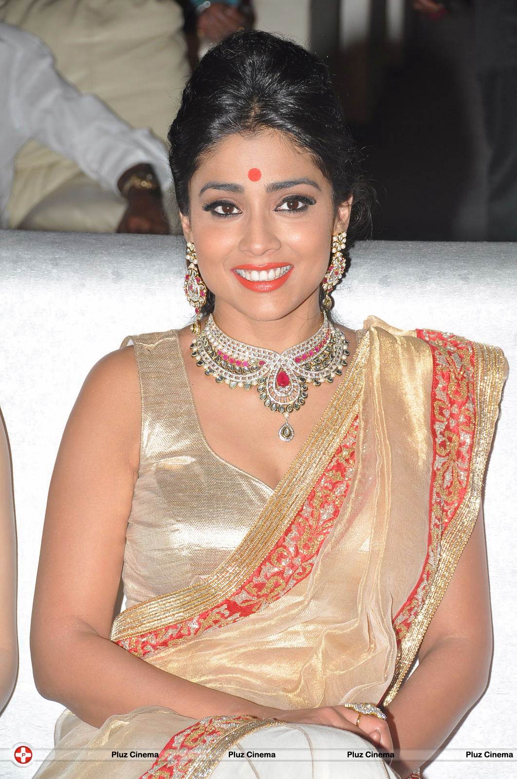 Shriya Hot Saree Photos at Tollywood Cinema Channel Opening | Picture 549082