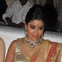Shriya Hot Saree Photos at Tollywood Cinema Channel Opening | Picture 549022