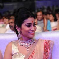 Shriya Hot Saree Photos at Tollywood Cinema Channel Opening | Picture 549023