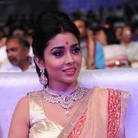 Shriya Hot Saree Photos at Tollywood Cinema Channel Opening | Picture 549024