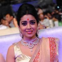 Shriya Hot Saree Photos at Tollywood Cinema Channel Opening | Picture 549025