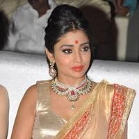 Shriya Hot Saree Photos at Tollywood Cinema Channel Opening | Picture 549029