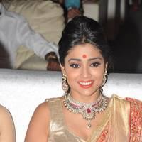 Shriya Hot Saree Photos at Tollywood Cinema Channel Opening | Picture 549033