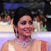 Shriya Hot Saree Photos at Tollywood Cinema Channel Opening | Picture 549035