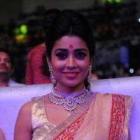 Shriya Hot Saree Photos at Tollywood Cinema Channel Opening | Picture 549039