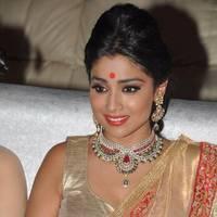 Shriya Hot Saree Photos at Tollywood Cinema Channel Opening | Picture 549040
