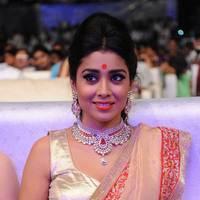 Shriya Hot Saree Photos at Tollywood Cinema Channel Opening | Picture 549043