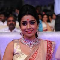 Shriya Hot Saree Photos at Tollywood Cinema Channel Opening | Picture 549046