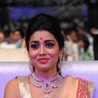 Shriya Hot Saree Photos at Tollywood Cinema Channel Opening | Picture 549048
