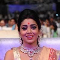 Shriya Hot Saree Photos at Tollywood Cinema Channel Opening | Picture 549049