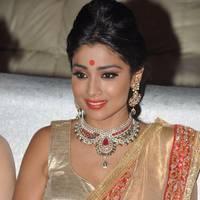 Shriya Hot Saree Photos at Tollywood Cinema Channel Opening | Picture 549051