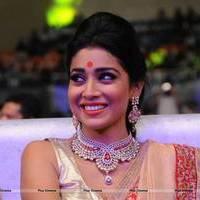 Shriya Hot Saree Photos at Tollywood Cinema Channel Opening | Picture 549052