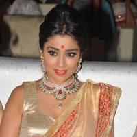 Shriya Hot Saree Photos at Tollywood Cinema Channel Opening | Picture 549055