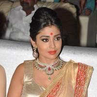 Shriya Hot Saree Photos at Tollywood Cinema Channel Opening | Picture 549056